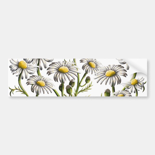 Chamomile Plant Magnet Bumper Sticker (Front)