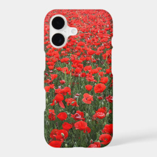 Champ de Coquelicots
