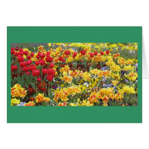 Champ de fleurs de printemps