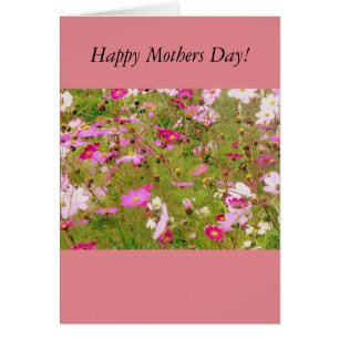 Champ De Fleurs Roses