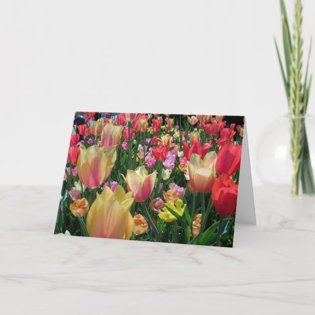 Champ de la carte Tulips (Devant)