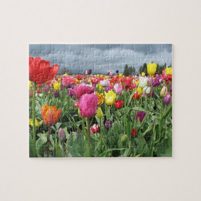 Champ de puzzle de tulipes (Horizontal)