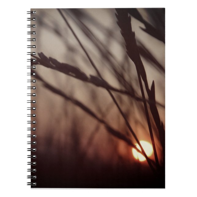 Champ de soleil Carnet photo (80 pages B&W) (Devant)