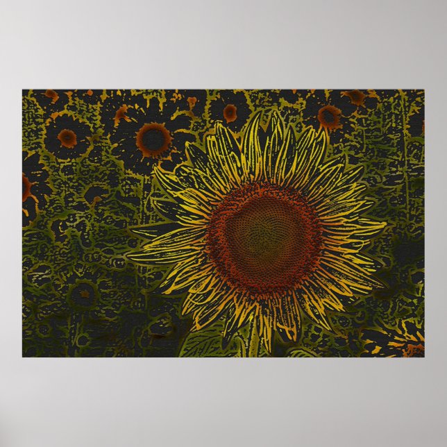 Champ de tournesol 36 x 24 Poster (Devant)