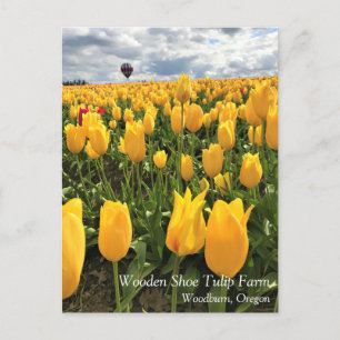 Champ de tulipe jaune avec carte postale à ballon 