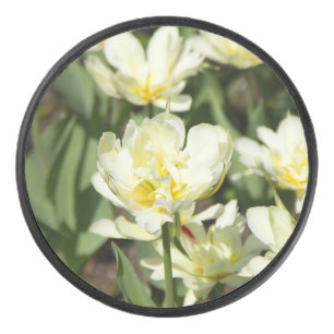 Champ de tulipes blanches