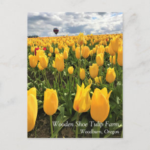 Champ de tulipes jaunes avec carte postale de mont