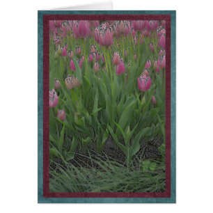 Champ des tulipes roses