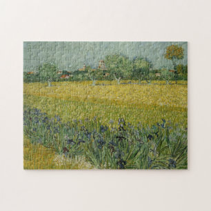 Champ fleuri près du Puzzle Arles
