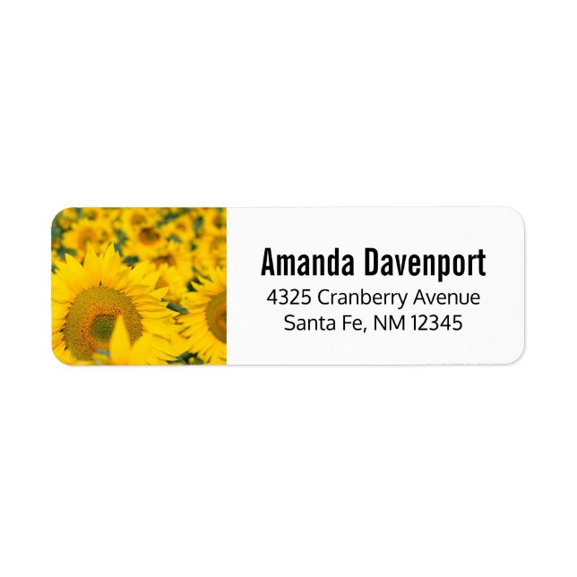 Champ jaune de tournesols photo (Devant)