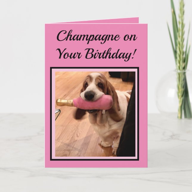 Champagne & Basset Hound On Funny Birthday Card (Front)
