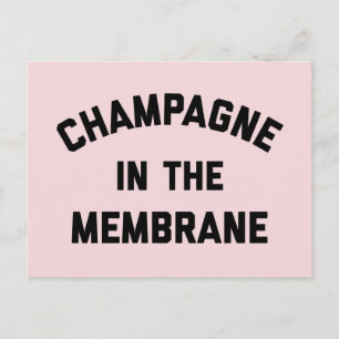 Champagne Membrane Funny Quote Postcard