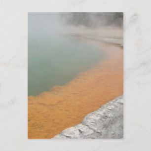 Champagne Pool Postcard