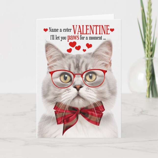 Champagne Tabby Cat Lover Valentine Feline Humour Holiday Card (Front)
