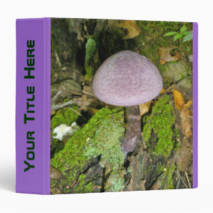 Champignon pourpre dans le Classeur de la mousse