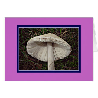 Champignon Slim Shady