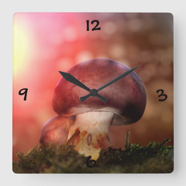 champignon square wall clock (Front)