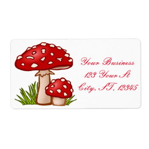 Champignons Amanita Rouge Thunder_Cove