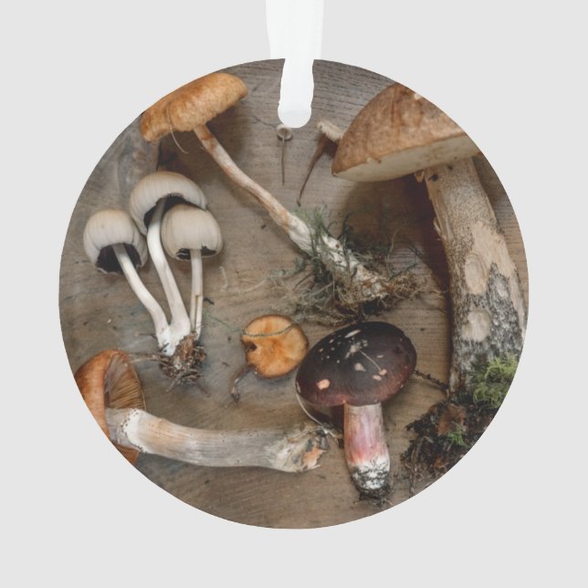 Champignons d'amour des champignons (dos)