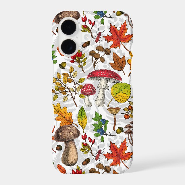 Champignons d'automne, feuilles, noix et baies sur (Verso)