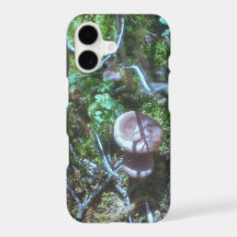 Champignons et Mousse sur Film