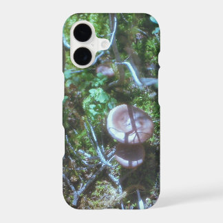 Champignons et Mousse sur Film