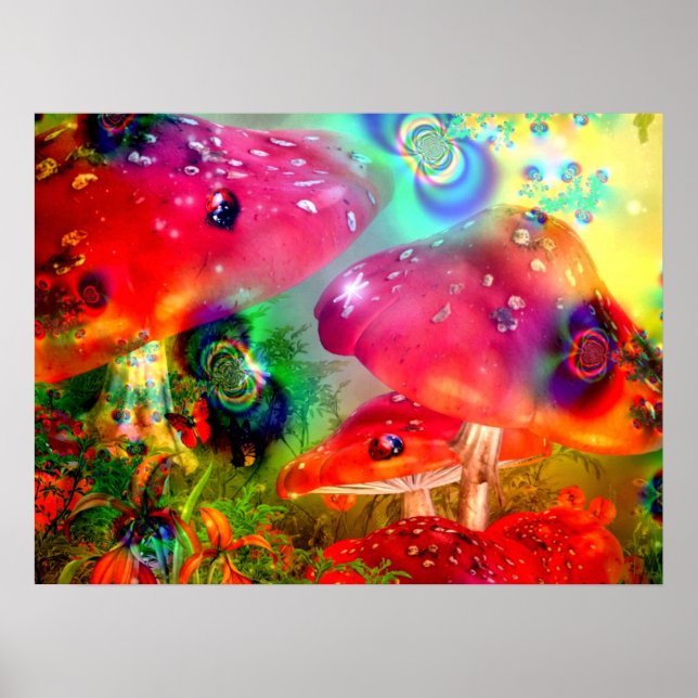 Champignons magiques - Poster (Devant)