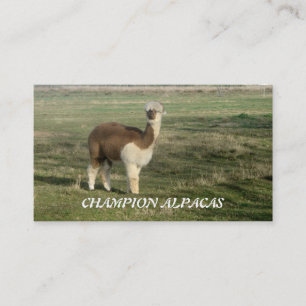 Champion Alpacas Business Card