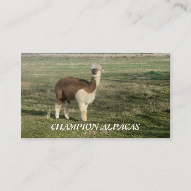 Champion Alpacas Business Card (Front)