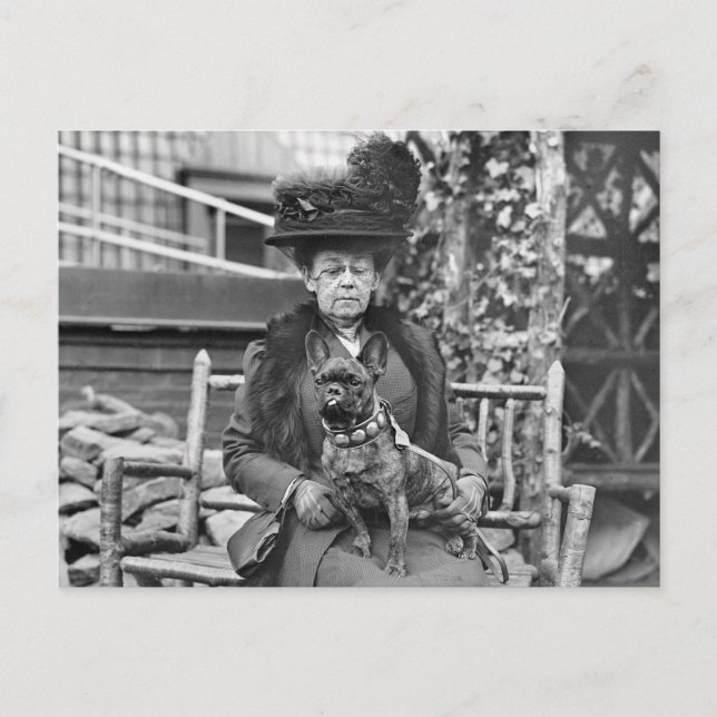 Champion French Bulldog, 1920s Postcard (Front)