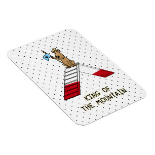 Champion king of the mountain dog agility funny magnet