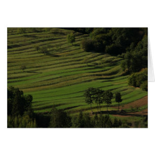 Champs d'automne, Prem, Slovénie