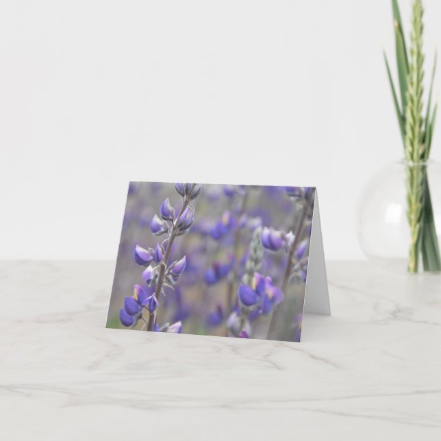 Champs de la carte de voeux violet (Devant)