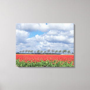 Champs de tulipe rouges, vue impression de toile