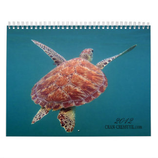 Chan Chemuyil Underwater Calendar