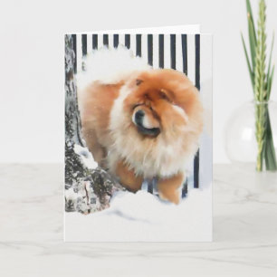 CHANCE IN THE SNOW heARTdog chow Card
