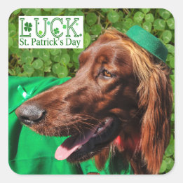 Chance Irish Setter Stickers St. Patrick's Day