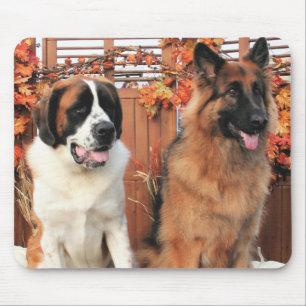 Chance LH-Shepherd Mae St Bernard Photo-3 Mouse Pad