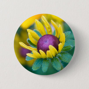 chance smitten 2 inch round button