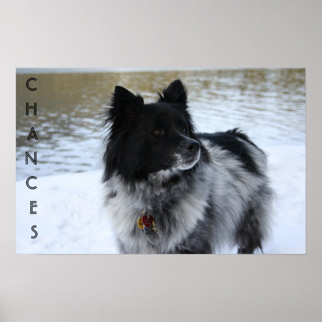 CHANCES POSTER (Front)