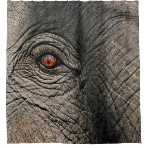 CHANG MAI ELEPHANT EYE