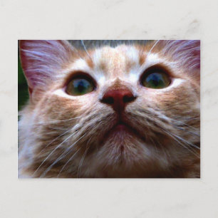 Change of Address Card