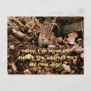 Change of Address Chipmunk Postcard