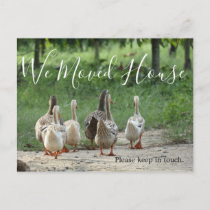 Change of Address Fun Photo Custom Postcard
