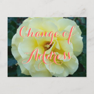 Change of address postcard with rose flower photo