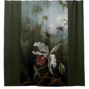 Change the Colour! Hummingbirds and White Orchid