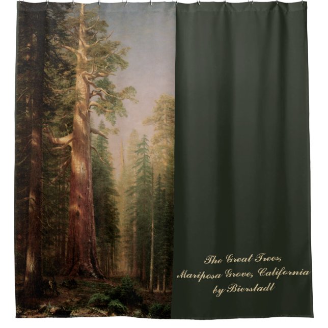 Change the Colour! The Great Trees by Bierstadt (Front)