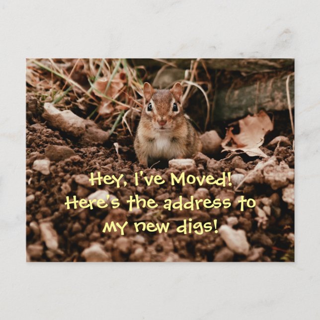 Changement d'adresse Chipmunk Carte postale (Devant)