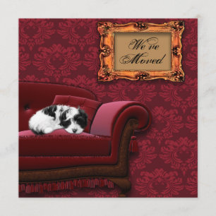 Changement d'adresse de sofa de chiot des cartes