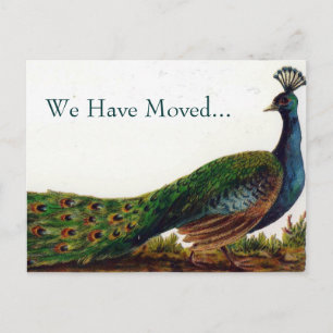 Changement d'adresse vintage de paon des cartes